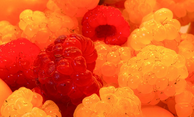 他们的职业 他们的职业